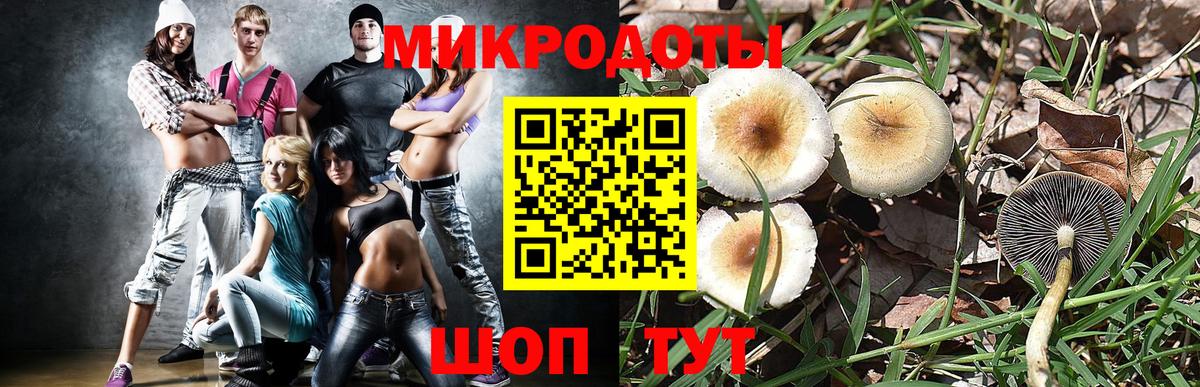 Галлюциногенные грибы Psilocybine cubensis  Псилоцибиновые грибы мухоморы  Вход с VPN  Лабытнанги 