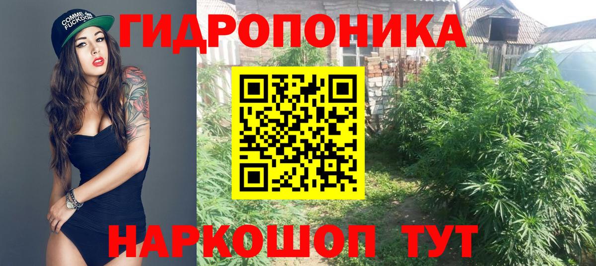 Бошки марихуана OG Kush Лабытнанги